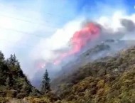 四川雅江森林火災 重慶通航護林機組參與四川雅江森林火災撲救工作獲表彰